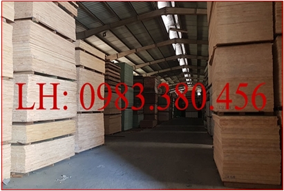 Ván ép giá rẻ tại quận tân phú